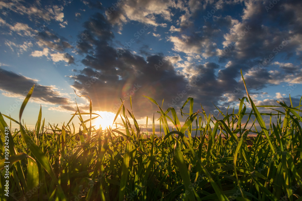 Po Valley fields field landscape panorama