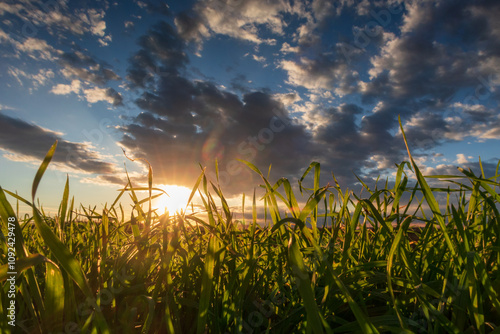 Obraz na płótnie Po Valley fields field landscape panorama w salonie