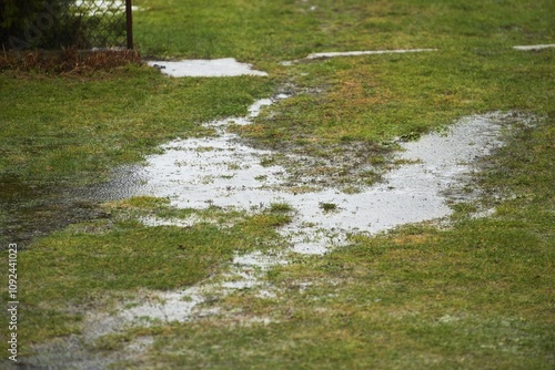 The effects of climate change and urban development on soil health and water absorption