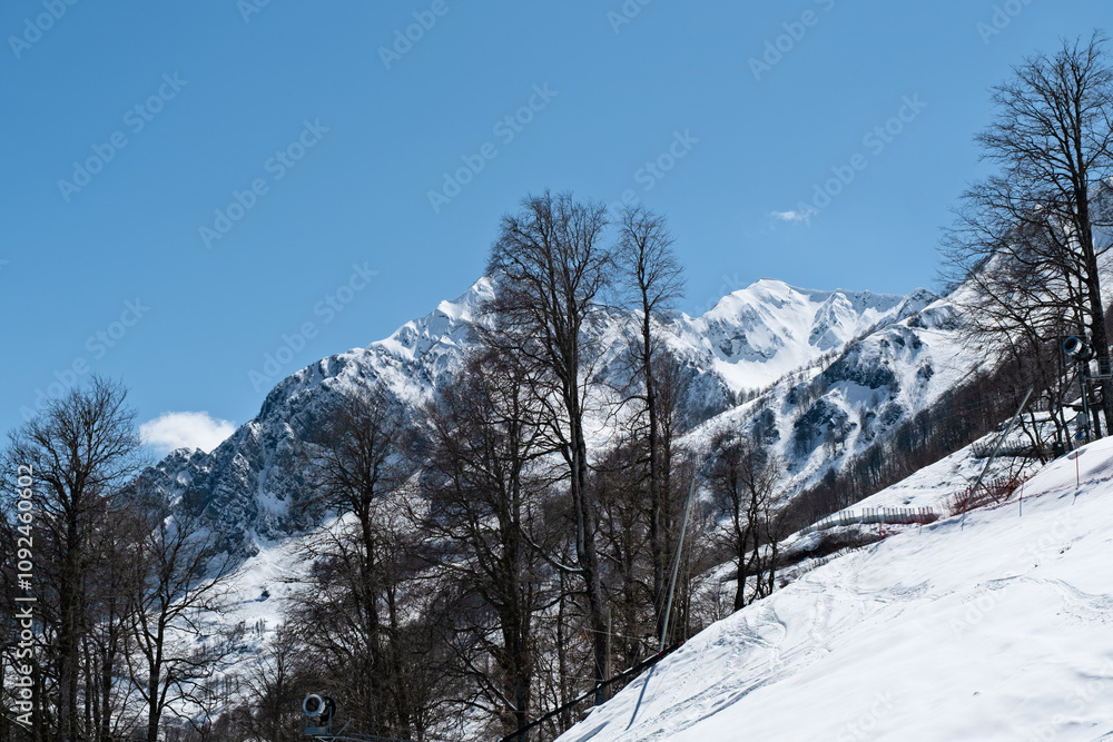 Obraz premium Snowcapped mountains under clear blue sky with bare trees in winter landscape