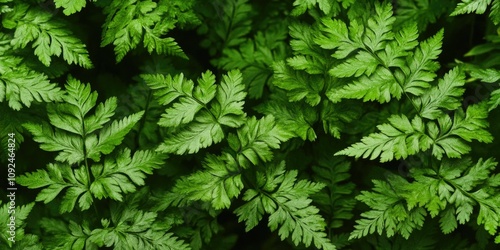 Lush Green Moss Blur Background