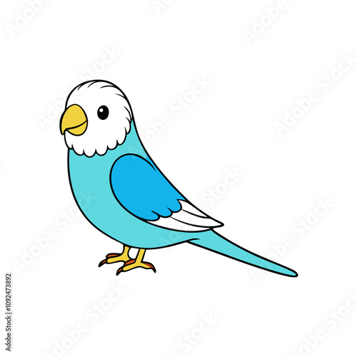 Budgerigar  budgie  vector illustration