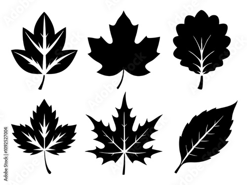 Vector Autumn Leaf Silhouettes: A collection of six beautifully detailed leaf silhouettes, perfect for adding a touch of nature to your design projects.  The silhouettes are  stylized and versatile.