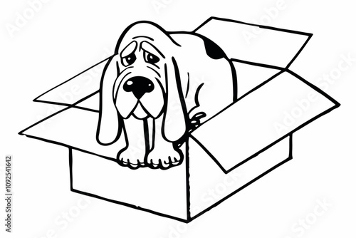 a sad Dog abandoned in a cardboard box, white background, 