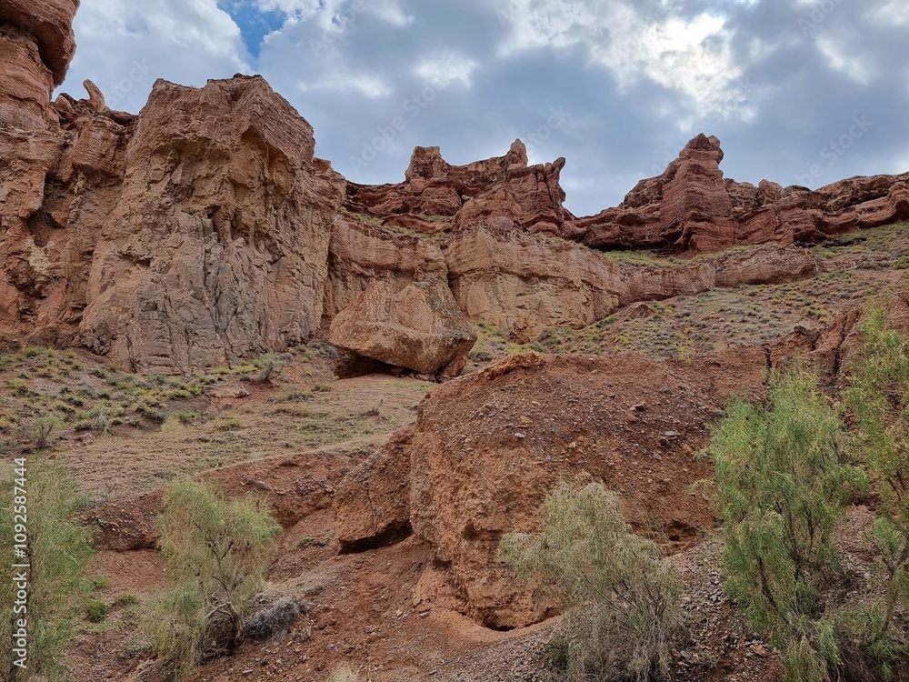 Fototapeta premium beautiful view of the nature 