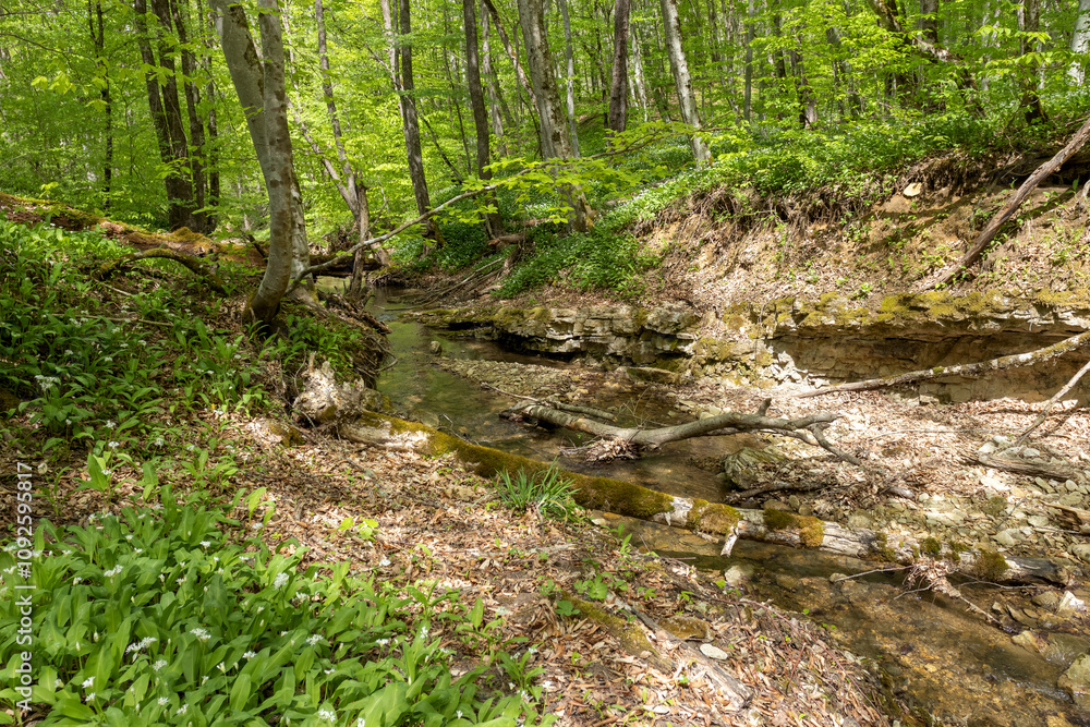mountain river, spring day walks along the riverbed of a water barrier overlooking the river bottom mountain river, spring day walks along the riverbed of a water barrier overlooking the river bottom