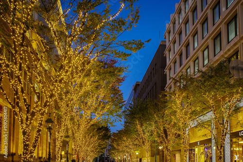 Wallpaper Mural 神戸の街がイルミネーションでキラキラ輝く１２月,神戸元町旧居留地にて撮影。 Torontodigital.ca