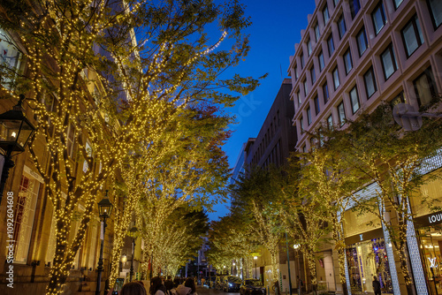 Wallpaper Mural 神戸の街がイルミネーションでキラキラ輝く１２月,神戸元町旧居留地にて撮影。 Torontodigital.ca