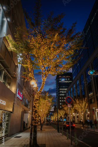 神戸の街がイルミネーションでキラキラ輝く１２月,神戸元町旧居留地にて撮影。 photo