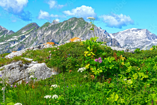 Blick vom Rüfikopf auf das Lechquellengebirge in Vorarlberg photo