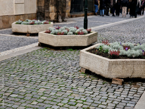 flower pots in front of the entrance with heather in the fall on the sidewalk. very nice growing utensils of several woods combined into one whole. gutter walkway under the overhang of the roof
