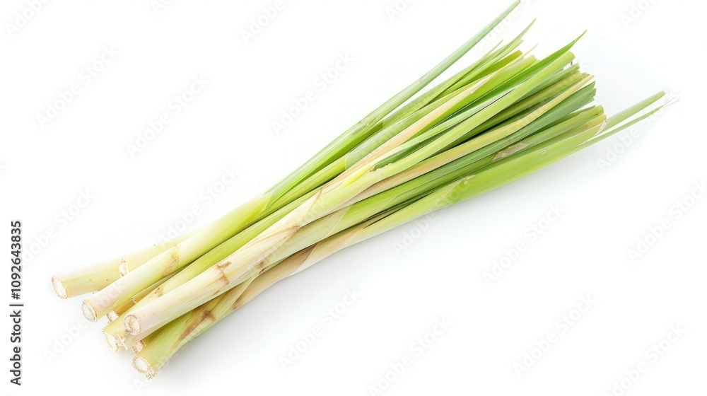 Fototapeta premium Fresh Lemongrass Stalks on White Background