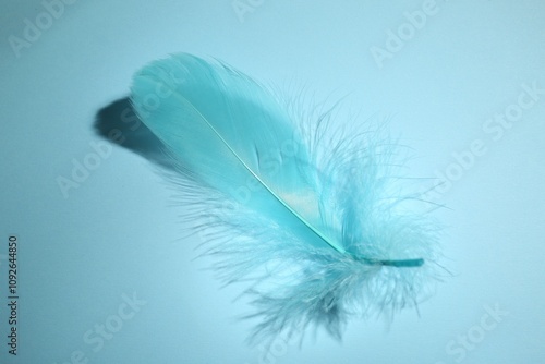 One fluffy feather on light blue background, closeup