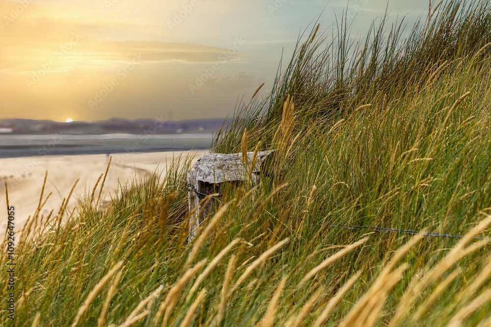 Sunrise with dune grass and beach at Elbow/Sylt