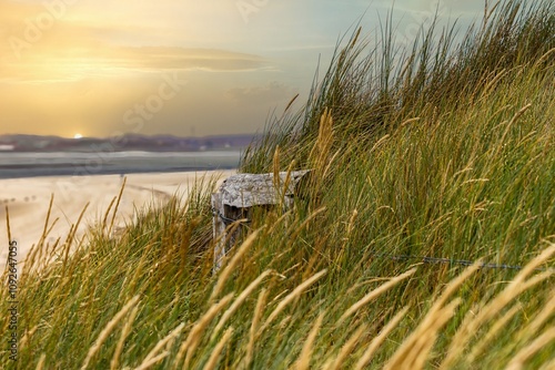 Obraz na płótnie Sunrise with dune grass and beach at Elbow/Sylt w salonie