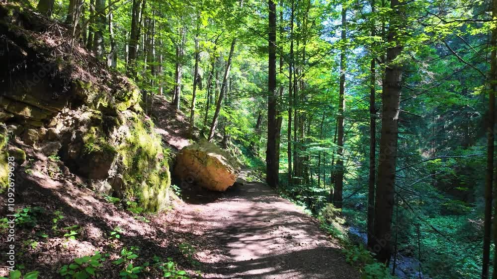 Walking along a forest pathway, surrounded by lush greenery, with cliffs, a gentle stream, and a clear blue sky overhead Walking along a forest pathway, surrounded by lush greenery, with cliffs, a gentle stream, and a clear blue sky overhead