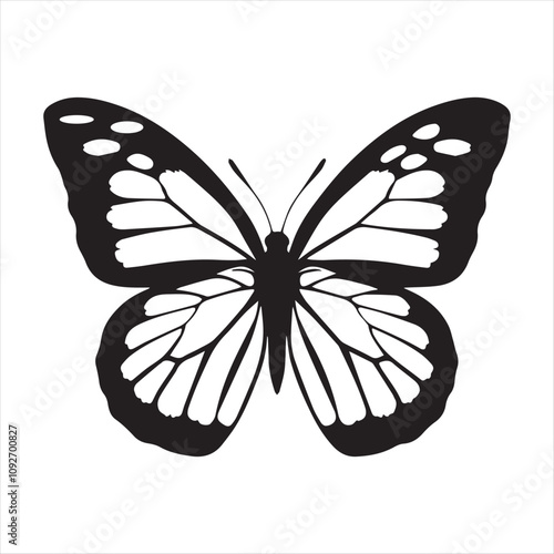 Wings of a Dream.