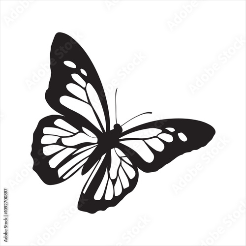 Wings of a Dream.