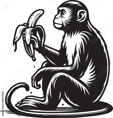 Cute Monkey Eating a Banana, Vintage Style Line Art. A stylized, black and white line art illustration of a monkey eating a banana. photo