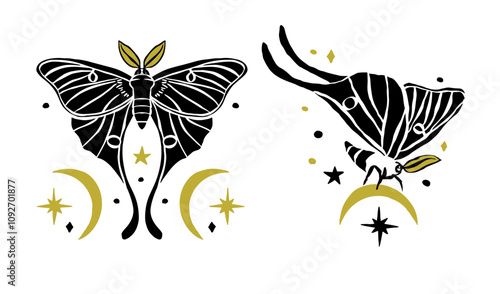 Luna moths set with moons and stars hand drawn black silhouette isolated on white background. Celestial butterfly design