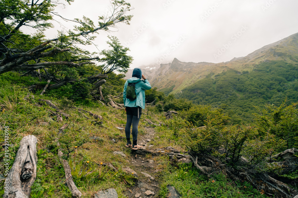 Fototapeta premium hiker looking at the mountains in Patagonia