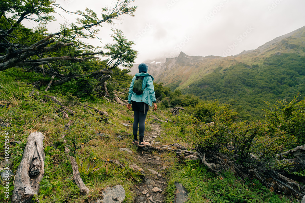 Fototapeta premium hiker looking at the mountains in Patagonia