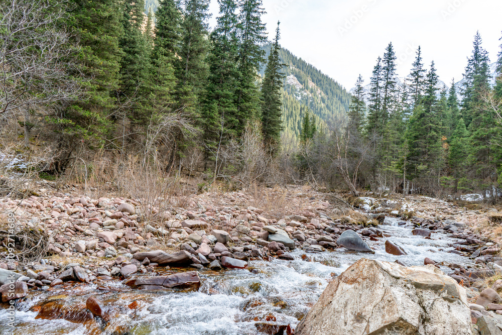 A scenic view of a flowing mountain stream surrounded by rocks and a lush forest, set against a backdrop of towering evergreen trees and distant hills. A peaceful wilderness setting.
A scenic view of a flowing mountain stream surrounded by rocks and a lush forest, set against a backdrop of towering evergreen trees and distant hills. A peaceful wilderness setting.