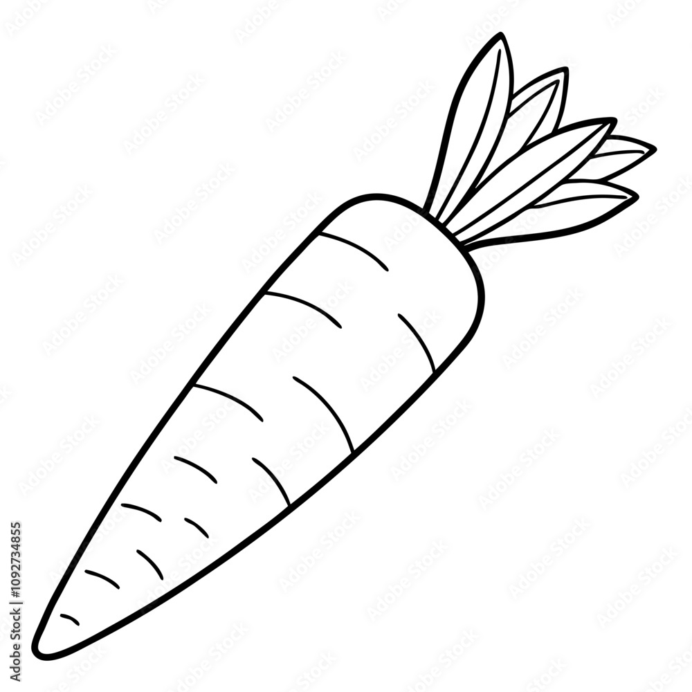 , carrot vegetable , carrot vegetable