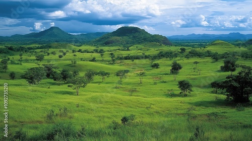 Savanna landscape. Thung Salaeng Luang area, Phetchabun province, Thailand.  photo