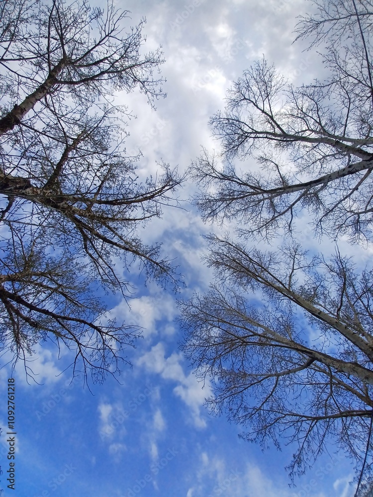 Obraz premium sky and clouds