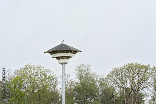 Til for common house martin birds on a pole above treetops. Turnhout, Flanders, Belgium  photo