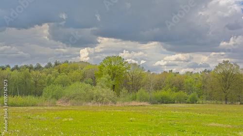 Meadow and forest under a dark cloudy sky near Turnhout, Flanders, Belgium  photo