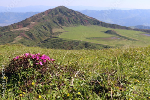 烏帽子岳と草千里の風景	 photo