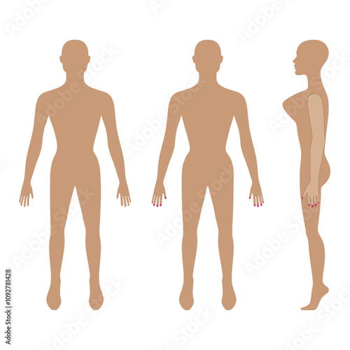 Full length front, back, side view of a lean bald standing naked woman silhouette, isolated on white background. Vector illustration. 