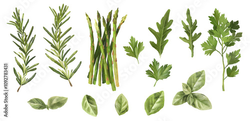 Hand drawn watercolor illustration table greens, arugula, lettuce, asparagus, parsley, basil