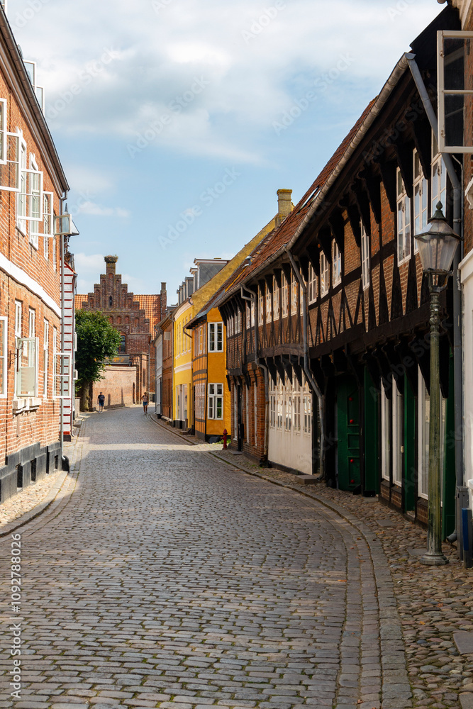 Fototapeta premium a beautiful city scape view through the small streets in the town Ribe in Denmark. With small and historic half-timbered houses in tiny alleys.