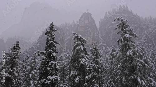 Wallpaper Mural Panoramic view moving left to right shows the Dolomite Alps and snow-covered forest during a heavy snowfall in Italy, capturing the serene transition into winter Torontodigital.ca