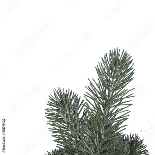 Obraz na płótnie , isolated on transparent background w salonie