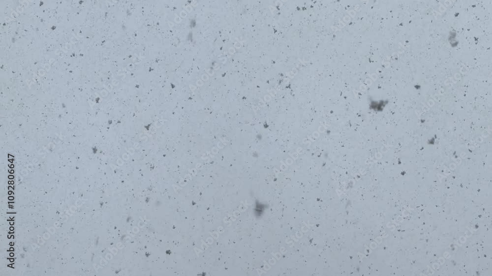 Des flocons de neige qui tombe du ciel en hiver. Des flocons de neige qui tombe du ciel en hiver.