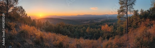 Breathtaking Autumn Forest at Sunset