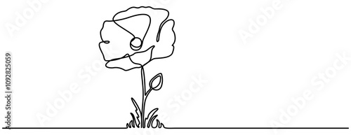 Continuous Line Art Poppy Flowers and Grass Doodle Border in Minimalist Black Design, illustration on white background, Poppy, Remembrance Day or Veterans Day Continuous Line Drawing with Editable 