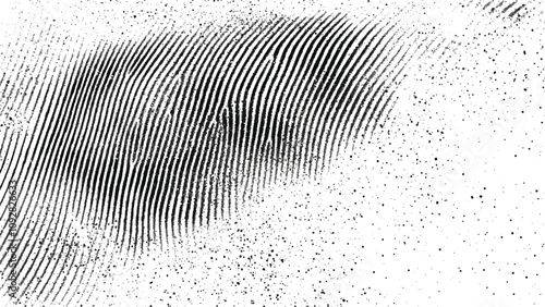 black and white Fingerprint texture on white background.