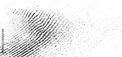 black and white Fingerprint texture on white background.