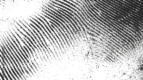 black and white Fingerprint texture on white background.