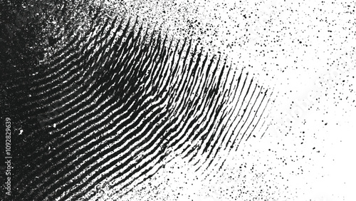 Vector set of style white and black fingerprint texture design background.