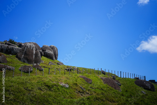 Ancient Stone Carvings on Lush Green Hillside