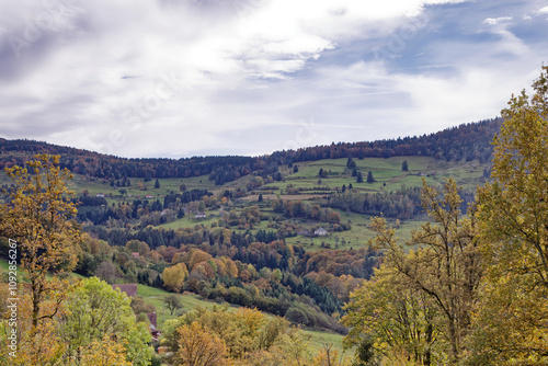 les Vosges en automne