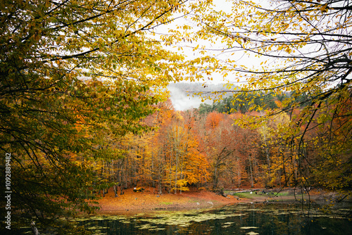 Beautiful autumn lake and forest landscape, autumn colors