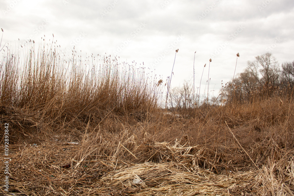 Obraz premium landscape with river