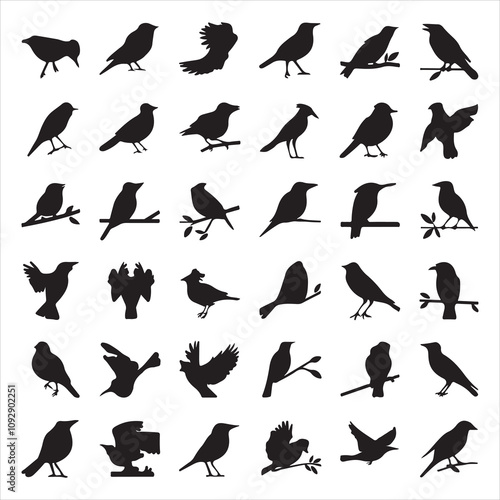set of vector icon bird silhouette	
